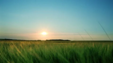 Landscape 스톡 동영상 7138598