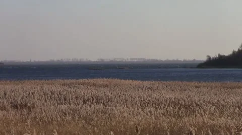 Landscape Video stock 12653045