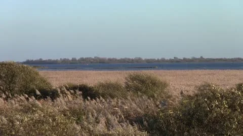 Landscape Video stock 12653151