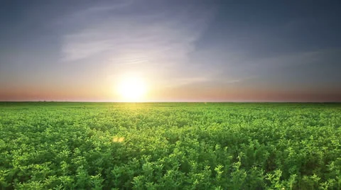 Landscape 動画素材 23364812