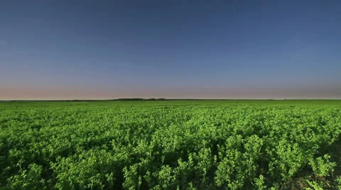 Landscape Видео 23373333