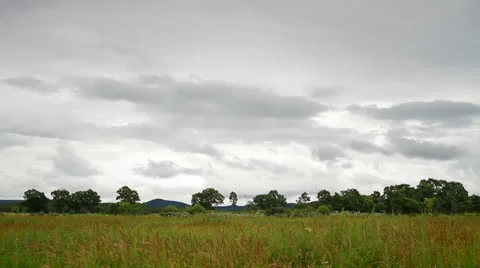 Landscape Stock Footage 26717225