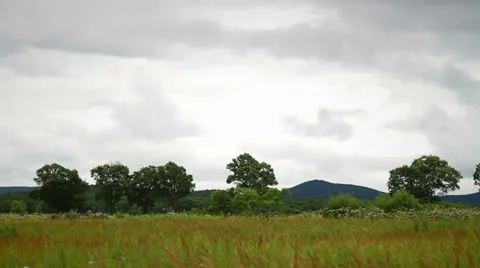 Landscape Stock Footage 26717926