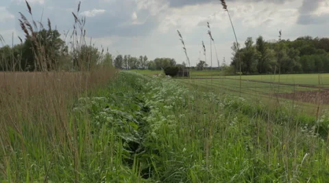 Landscape Stock Footage 49163359