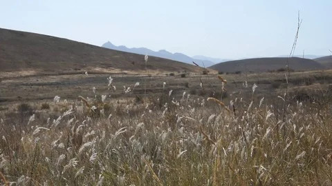 Landscape Stock Footage 94179337