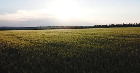 Landscape Stock Footage 99140808