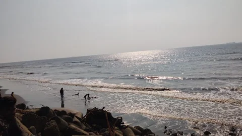 Landscape Stock Footage 121685660