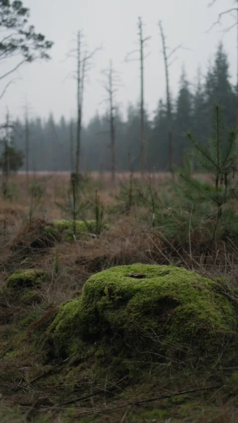 Landscape Stock Footage 327352944