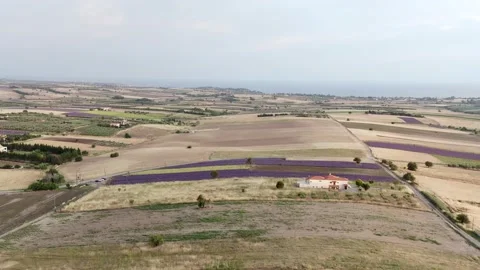 Landscape footage of agricultural fields Stock Footage 133369807