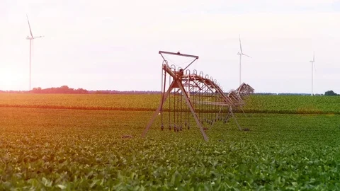 Landscape footage of wind generators and irrigation system in the soybean field. Stock Footage 72197489