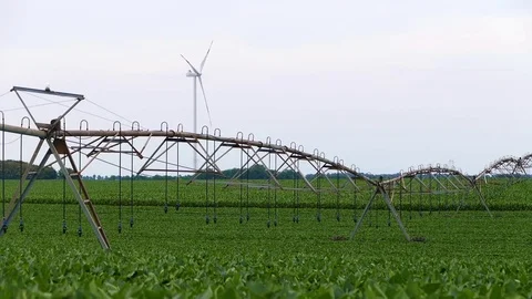 Landscape footage of wind generators and irrigation system in the soybean field. Stock Footage 72197544