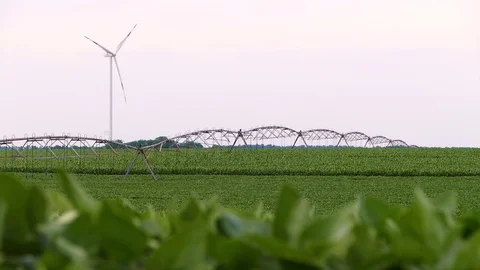 Landscape footage of wind generators and irrigation system in the soybean field. Stock Footage 72197557