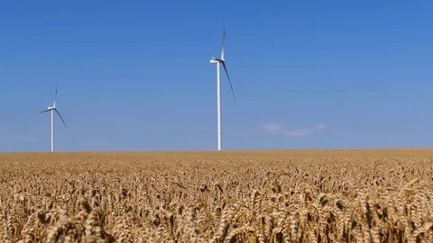 Landscape footage of wind generators in the wheat field. Stock Footage 72197501