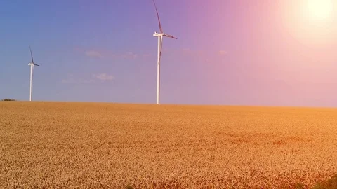 Landscape footage of wind generators in the wheat field. Stock Footage 72197552