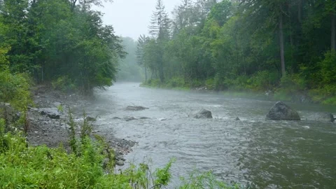 The landscape of the forest and river in the rain, shrouded in mist. Stock Footage 313946984