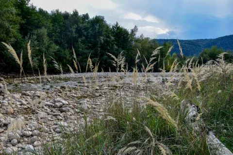 The landscape, the forest around, the river flows, and in the distance high Stock Photos