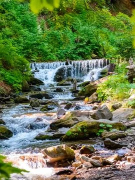 Landscape with forest brook Stock Photos