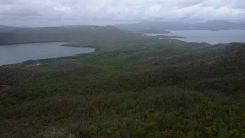 Landscape of forest Stock Footage 205291895