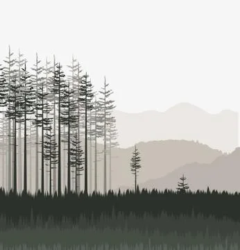 Landscape with forest Stock Illustration