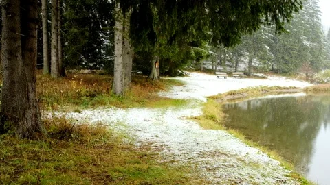 Landscape of a forest lake. Snow falling Stock Footage 122382267