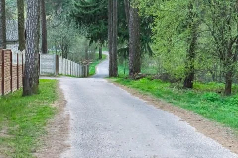Landscape forest path spring road to the forest Stock Photos