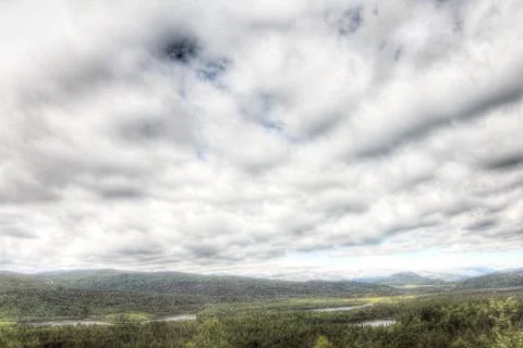 Landscape with forest Stock Photos