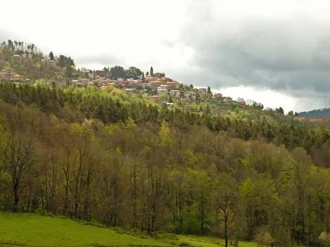 Landscape with forest Stock Photos