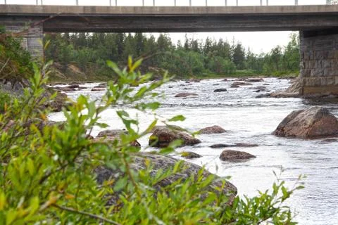 Landscape with forest river Foto stock