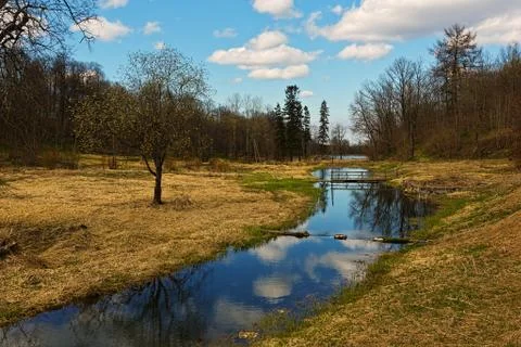 Landscape with forest river in spring Foto stock