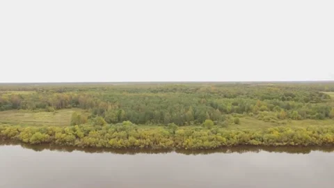 Landscape forest on the shore Stock Footage 159881569