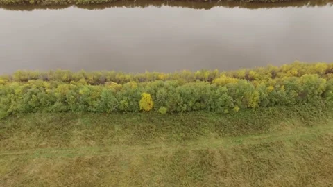 Landscape forest on the shore Stock Footage 159881607