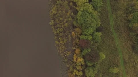 Landscape forest on the shore Stock Footage 159881634