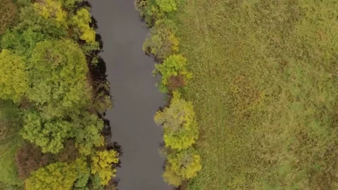 Landscape forest on the shore Stock Footage 159881641