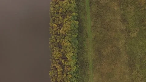 Landscape forest on the shore Stock Footage 159881642