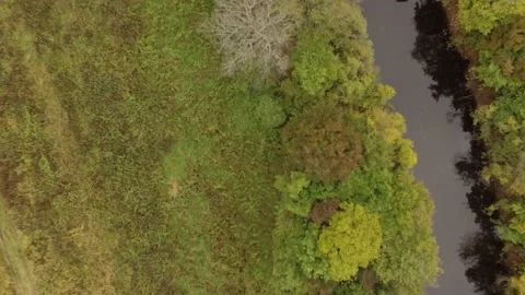 Landscape forest on the shore Stock Footage 159881666