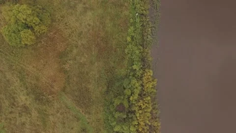 Landscape forest on the shore Stock Footage 159881672