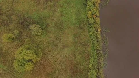 Landscape forest on the shore Stock Footage 159881682