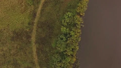 Landscape forest on the shore Stock Footage 159881714