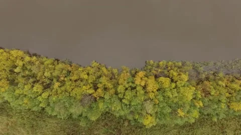 Landscape forest on the shore Stock Footage 159881728