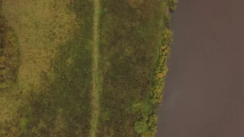 Landscape forest on the shore Stock Footage 159881729