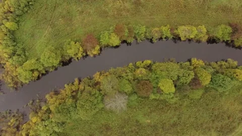 Landscape forest on the shore Stock Footage 159881812