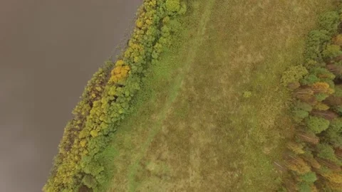 Landscape forest on the shore Stock Footage 159881823