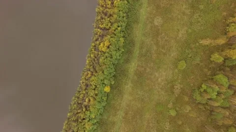 Landscape forest on the shore Stock Footage 159881827