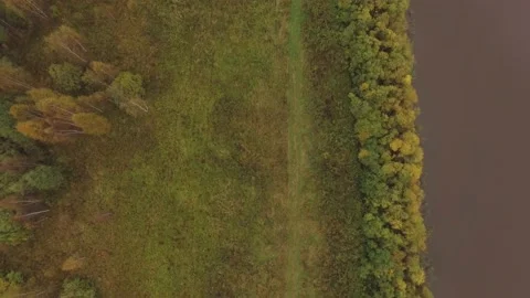 Landscape forest on the shore Stock Footage 159881833