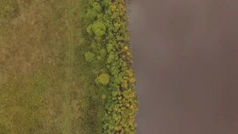 Landscape forest on the shore Stock Footage 159881841