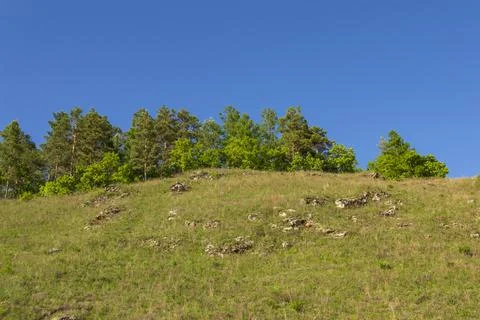 Landscape of the forest on the slopes Foto stock