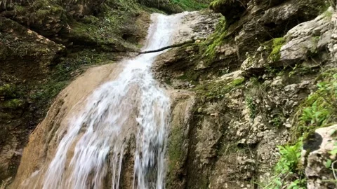 Landscape of a forest waterfall Видео 308107580