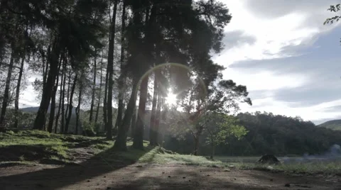 Landscape forrest and Lake 動画素材 47305192