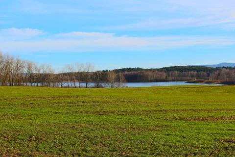 Landscape of fresh grass Foto stock