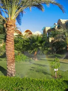 Landscape in front of the hotel in Egypt Stock-Fotos